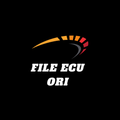 File ECU Ori